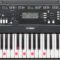 Yamaha EZ-220 Digital Keyboard (61 anschlagdynamische Tasten mit Beleuchtung) inkl.Netzteil